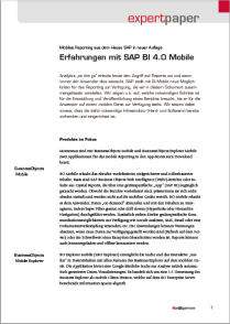 Bild BI Mobile expert paper